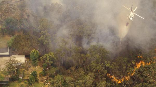 Esfuerzos en desastres en Australia y Puerto Rico